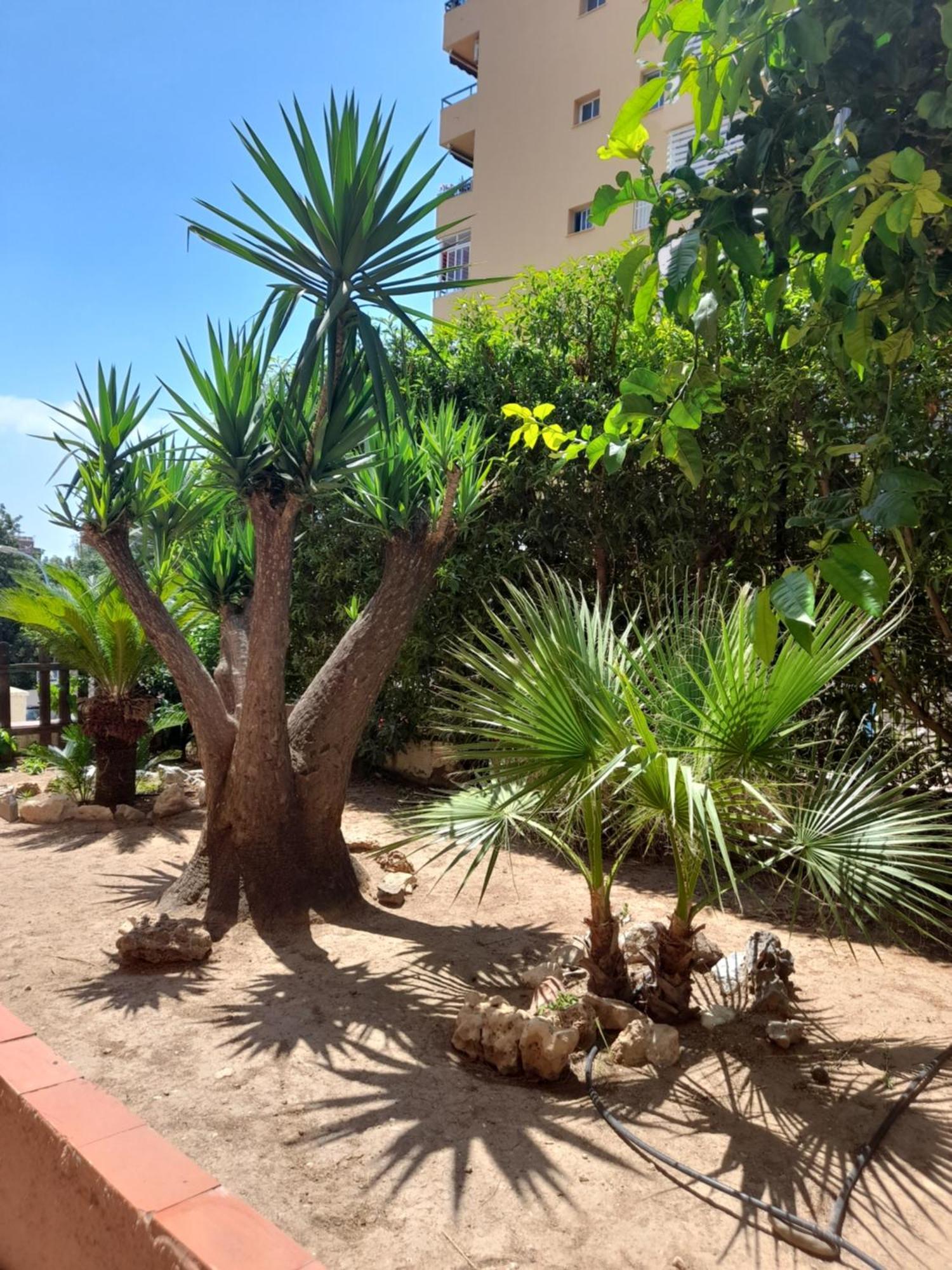 Апартаменти Torremolinos Centro Beach Екстер'єр фото